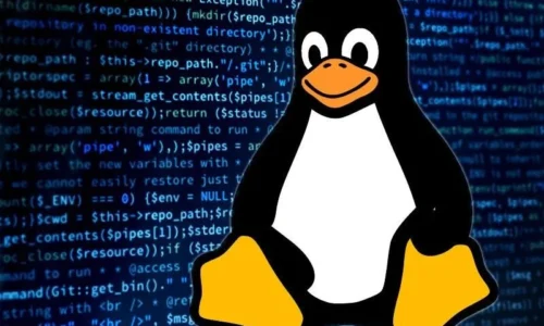 LINUX