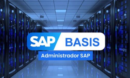 SAP BASIS
